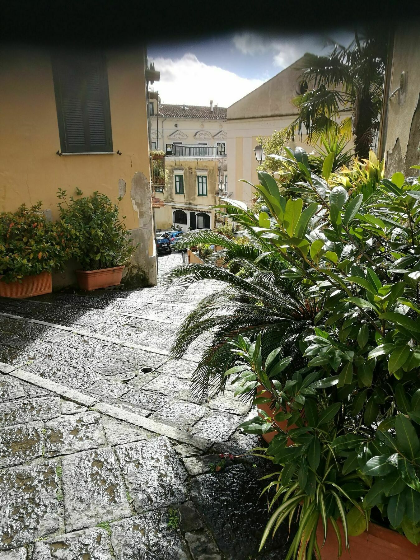 Sapientia B&B Salernes Extérieur photo